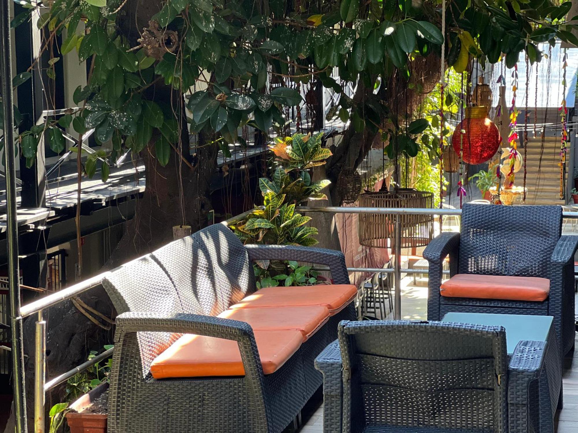 Hotel La Siesta Malecon 마사틀란 외부 사진